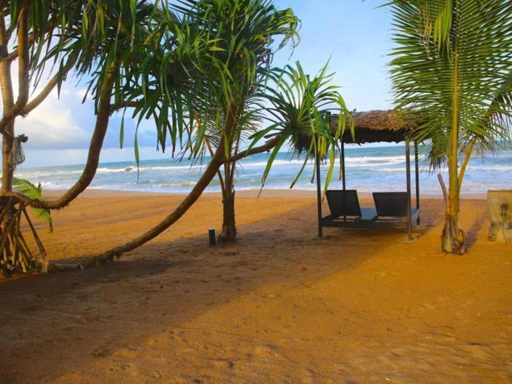 Whispering Palms Hotel Bentota Ngoại thất bức ảnh